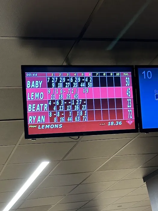 The Gutter L.E.S. Picture 3