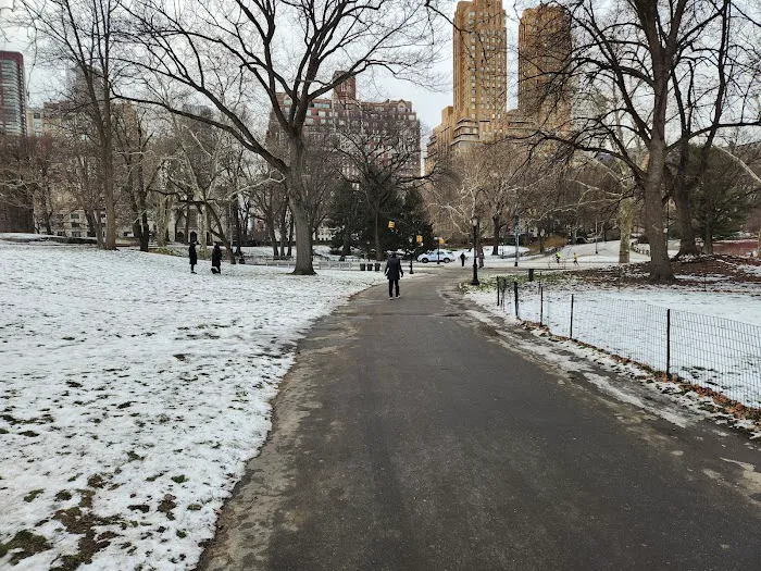 The New York Lawn Bowling Club Picture 2