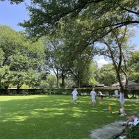 The New York Lawn Bowling Club ico