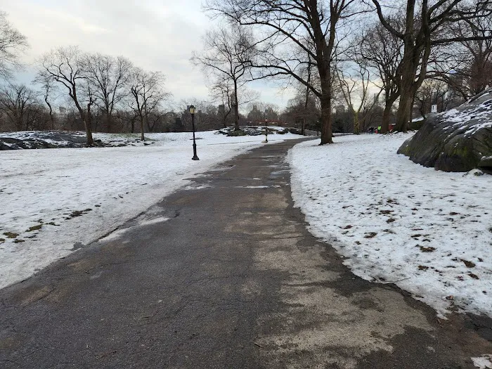 The New York Lawn Bowling Club Picture 5