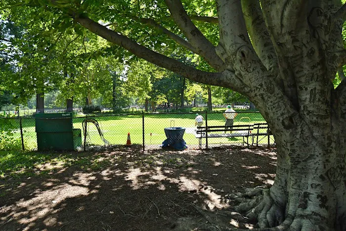 The New York Lawn Bowling Club Picture 6