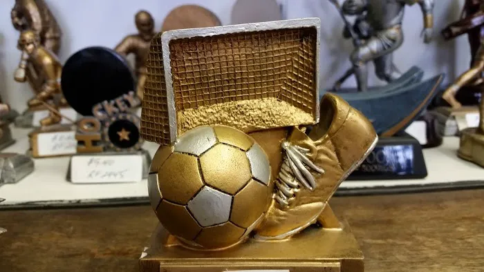 Metro Bowl Sales Picture 9