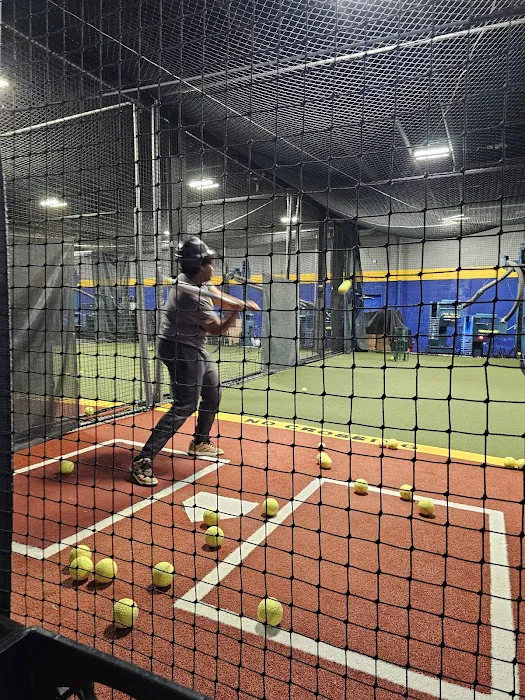 Humdingers Picture 10