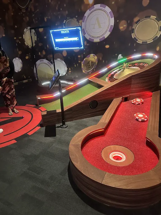 Albatross Picture 10