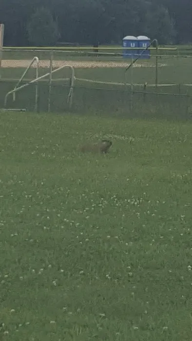 Fort Dix Bowling Center Picture 7