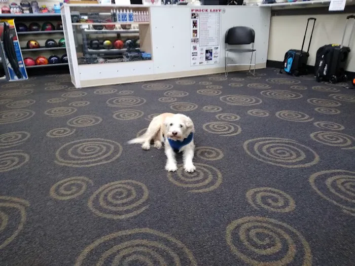 The Bowling Store - Milford, CT Picture 7