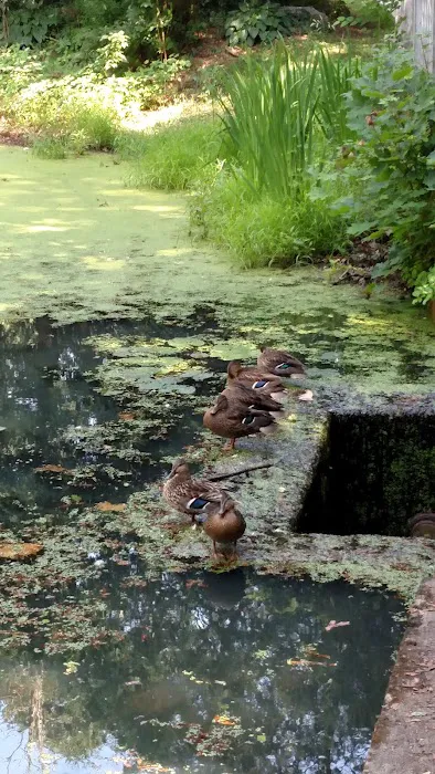 High Lane Club Picture 5