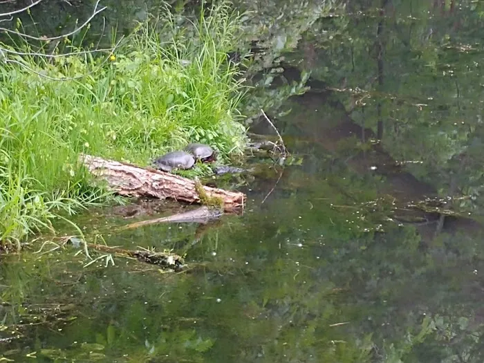 High Lane Club Picture 10