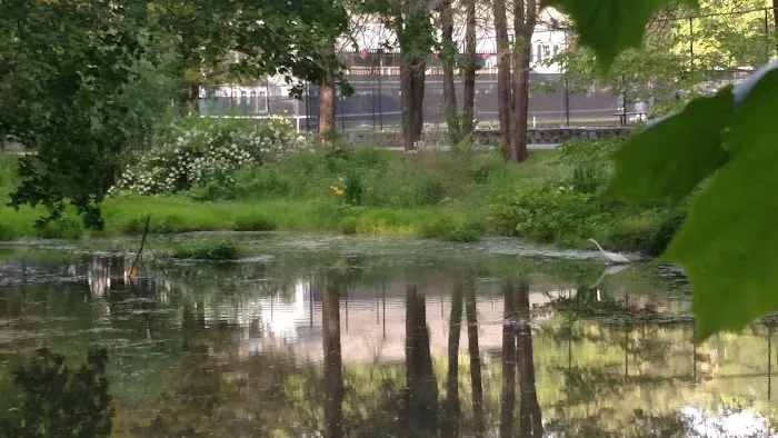 High Lane Club Picture 9