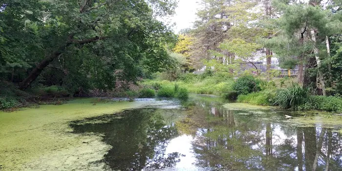 High Lane Club Picture 1