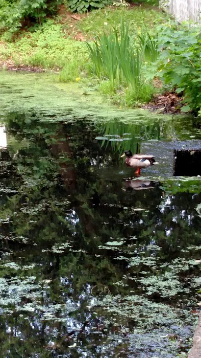 High Lane Club Picture 7