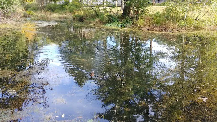 High Lane Club Picture 8