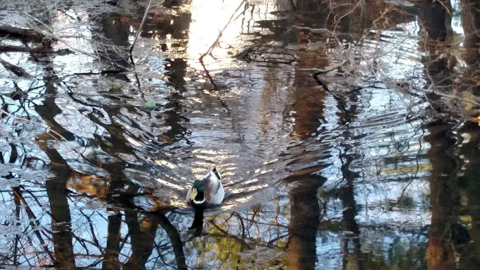 High Lane Club Picture 6