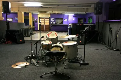 Ducks on the Ave Picture 2