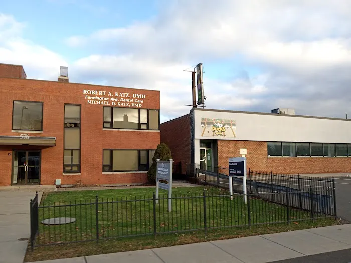 Ducks on the Ave Picture 3