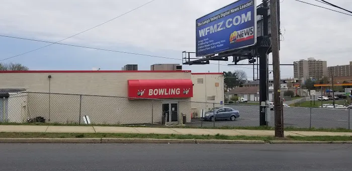 Haja Rose Bowl Picture 5