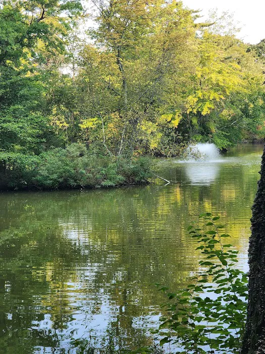 Elizabeth Park Thistle Lawn Bowling Club Picture 2
