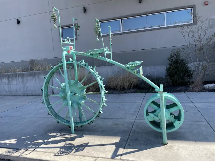 South Bowl Picture 5