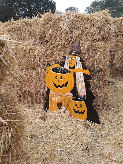 DiDonato Family Fun Center Picture 10