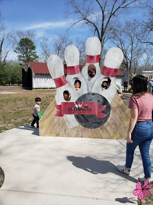 DiDonato Family Fun Center Picture 3