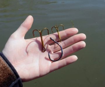 Why Tilt and Rotation Affect Hook Shape